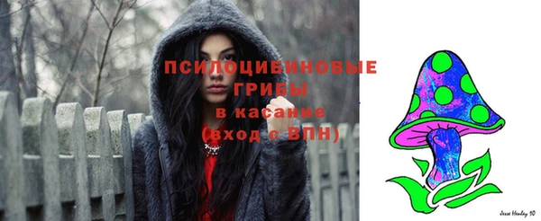героин Алзамай